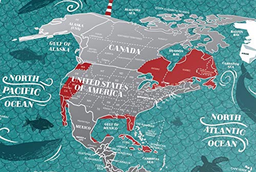 Small Scratch Off Travel World Map 1Dea.me - Premium Edition - 23.6" X 15.8" - Rewritable Places I’ve Been Travel Map - Us States Outlined - Made From Flexible Plastic To Last Longer #TOP4