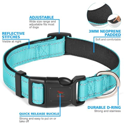 Image of Petology Reflective Adjustable Dog Collar for X-Large Dogs (50-60 cms) | Soft Neoprene Padded Nylon Pet Collar with Safe & Quick Release Buckle | Comfortable, Lightweight & Durable