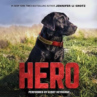 Hero Audiolibro Por Jennifer Li Shotz arte de portada