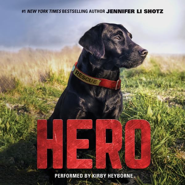 Cover art for Hero