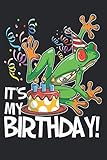 Photo Gallery it s my birthday!: frog journal notebook diary: 120 lined, wide rule pages Photo Gallery it s my birthday!: frog journal notebook diary: 120 lined, wide rule pages