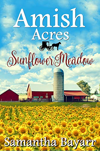 Amish Acres: Sunflower Meadow #TOP7
