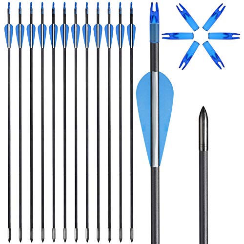 ASDW Archery Arrows Fiberglass Arrow 28/30 Inch Targeting Practice Arrows Safety Arrows Hunting Arrows for Recurve Bow Compound Bow Beginner Arrow Women Youth Arrows (12 pcs Package)