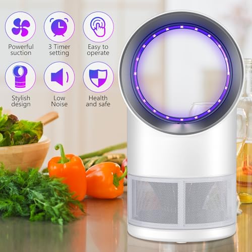 Image of Fly Trap Indoor,Gnat Traps House Indoors, Indoor Insect Trap with Timer, Pack of 10 Refills (White)