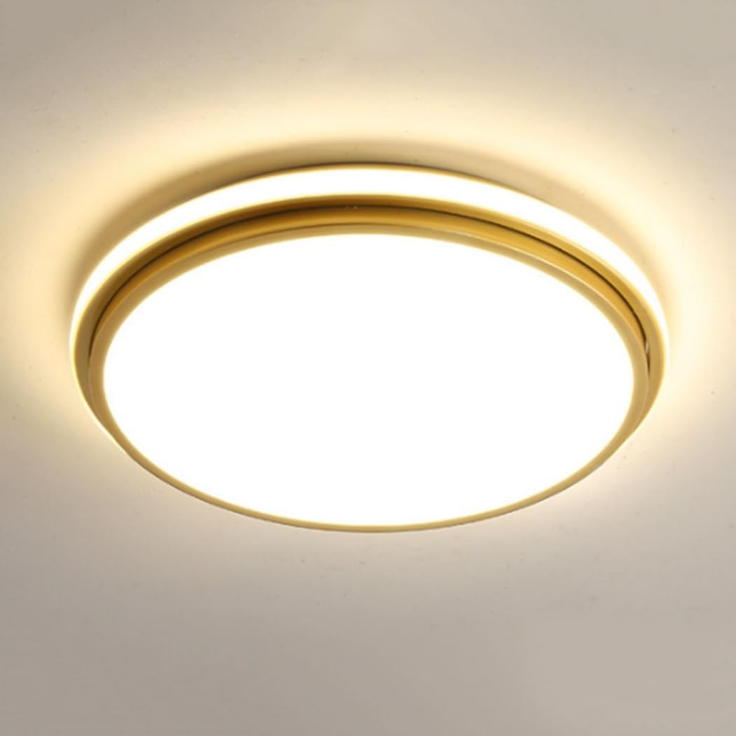 KNBVFHG Nordic Creative Personalized Lamp Modern Atmosphere LED Ceiling Lights Home Living Room Bedroom Lighting Fixtures Three-Color Dimming Embedded Panel Lamps for Lounge Hallway Home Office Porch