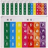 SWETRACE 8 Stück Notenaufkleber für Panflöte in Verschiedenen Farben Leicht zu Kleben und Abreißen Zubehör für Anfänger und Musikunterricht