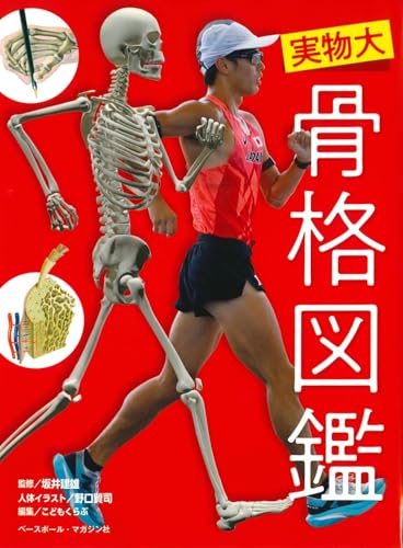 実物大 骨格図鑑