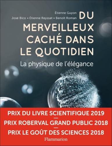 Du merveilleux caché dans le quotidien: La physique de...