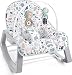 Fisher-Price Infant-to-Toddler Rocker - Pacific Pebble, Portable Baby Seat, Multi