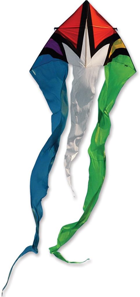 13 ft. Flo-Tail Delta Kite - Rainbow Burst