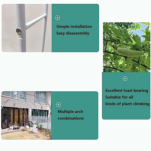 Support de toile de fond de jardin vert pour aménagement paysager - 2