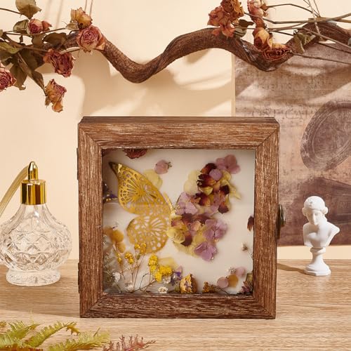 AHANDMAKER Insect Display Case Shadow Box for Insect Display with Clear Top Insect Specimen Storage Box Wood Insect Storage Case for Collecting Specimen 6 x 6 Inch - Image 4
