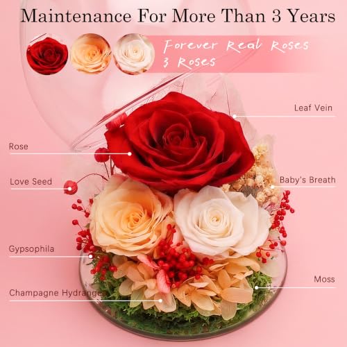 Homsolver Gifts for Wife Her Christmas Birthday Women Gifts Preserved Rose - Image 2