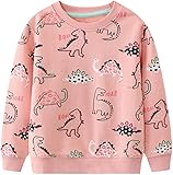RETSUGO Dinosaur Shirts for Girls Toddler Girls Sweatshirt Crewneck Winter Long Sleeve Pullover Tops Cotton Dinosaur Clothes Baby Girls Dino Sweater 5t/8172 Pink