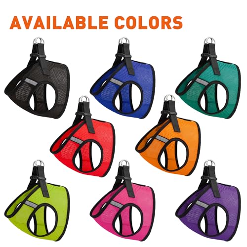 Dogline Boston Step in Mesh Dog Harness with Deaf Dog Patch No Choke Pet Vest Soft Gentle Padded Chest Halter for Puppies Small Medium and Large Dogs 14 to 16 inches Girth Royal Blue - Thumbnail 3