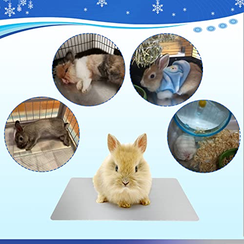 Image of Rabbit Cooling Pad, 11.8x7.9 in Hamster Cooling Mat Pet Cool Plate for Rabbit Bunny Hamster Guinea Pig & Other Small Pets Stay Cool This Summer - Bite Resistance Pet Cooling Pad Ice Bed