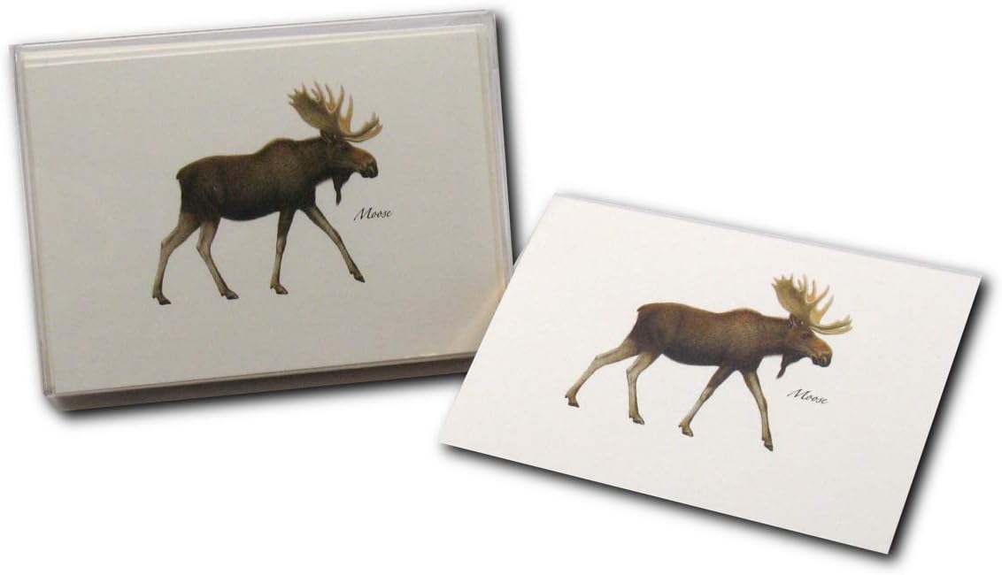 Earth Sky + Water - Moose Notecard Set - 8 Blank Cards with Envelopes