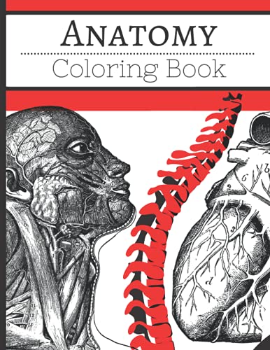 human anatomy coloring book: Anatomy Coloring book for Kids and adults | Human Body Parts