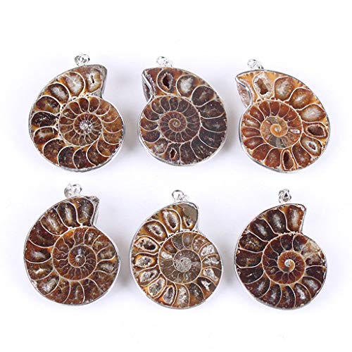 Pendentif en ammonite naturelle argenté : bijou d'exception unique