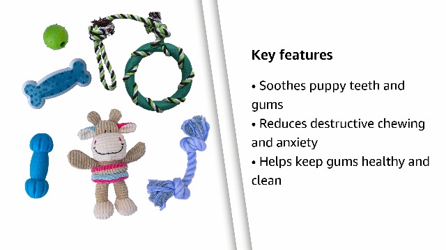 rocket & rex Dog Toy Pack, Chew Toys for Small Dogs and Dog Toys for Puppies, Safe & Non-Toxic, for Small to Medium… - Image 7