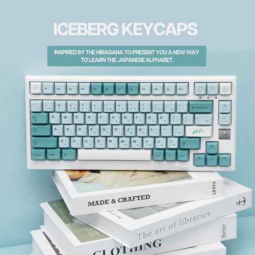 Image of EPOMAKER Iceberg 126 Keys PBT XDA Profile Keycaps Set with Japanese Hiragana for Mechanical Gaming Keyboard, ANSI Layout, Compatible with Cherry Gateron Kailh Otemu MX Structure (Iceberg)