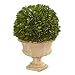 Nearly Natural 12in. Boxwood Topiary Ball Preserved Plant in Decorative Urn (4372)
