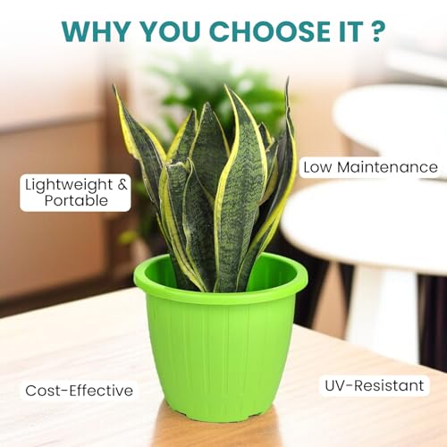 Image of Go Hooked Sunshine Flower Pot /Planters for Home Decor, Plastic Pots for Gardening /Home, Flower Pots Indoor-Outdoor & Planter for Plants (Green) (Pack of 2)