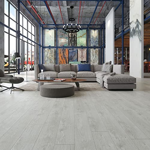 Vinylboden Eiche hellgrau Klebevinyl Holzoptik Bodenbelag Vinyl zum Kleben selbstklebend Landhausdielen 2 mm Holz Optik robuster Holzimitat Boden grau (6 m²) Vinylboden Eiche hellgrau Klebevinyl Holzoptik Bodenbelag Vinyl zum Kleben selbstklebend Landhausdielen 2 mm Holz Optik robuster Holzimitat Boden grau (6 m²)
