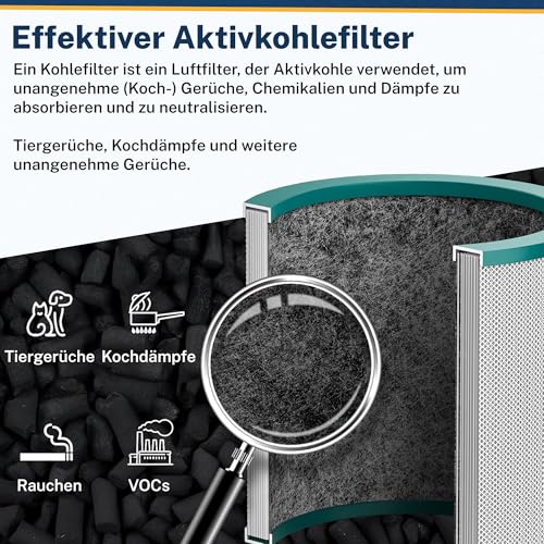 Filtre Dyson TP02 AM11 anti poussière résout air pollué HEPA - 4