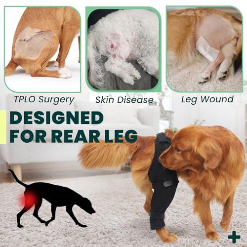 Image of Dog Rear Leg Sleeve to Stop Licking, Hind Leg Protector for TPLO Recovery, ACL Surgery, Wounds or Skin Issues, Soft Breathable Cover for Large Medium Small Dogs (2XL-,Right)
