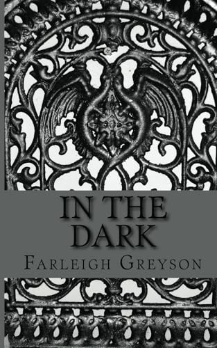 In the Dark view 2