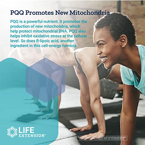 Life-Extension-Mitochondrial-Energy-Optimizer-with-PQQ--For-Heart-Brain-Health-Energy-Management-and-Anti-Aging-Gluten-Free-Non-GMO-Vegetarian--120-Capsules