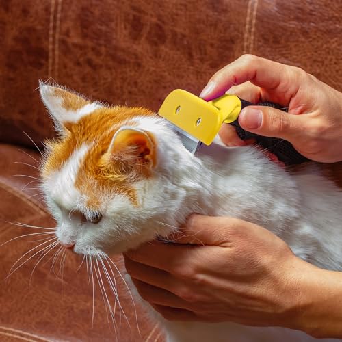 Retoo Brillirare Hundebürste & Katzenbürste für Kurz, Unterwollebürste zur Fellpflege & Haarentfernung, Entfilzende Fellbürste für Große & Kleine Hunde und Katzen, Perfekt für Kurze & Lange Haare