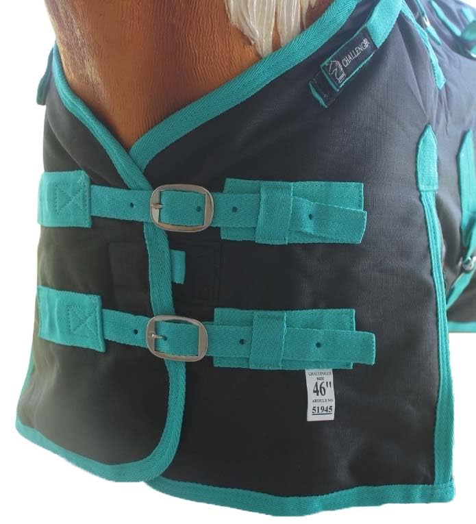 Image of Challenger 1200D Miniature Weanling Donkey Pony Horse Foal Winter Blanket Teal 51945
