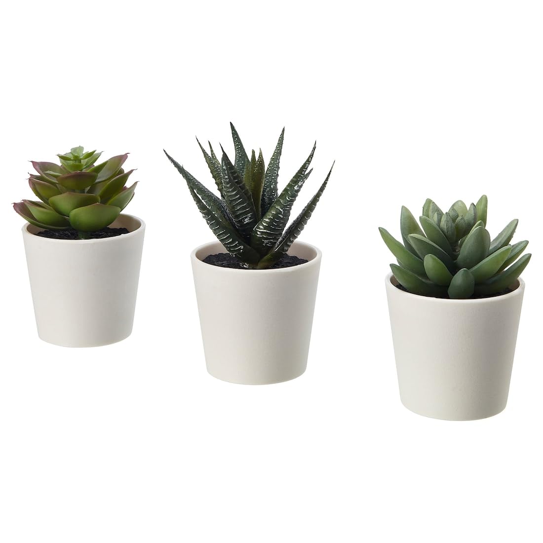 FEJKA Decoration potted plant with pot, in/outdoor Succulent, 6 cm 3 pack