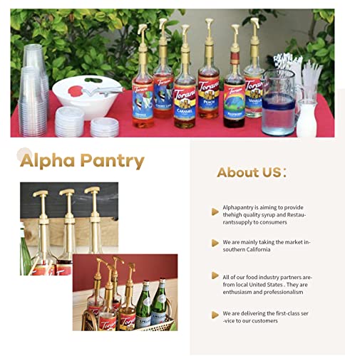 6-Pack Gold Alphapantry Syrup Pumps For Coffee Syrup Bottle, 750 Ml Bottles, Fits Torani, Davinci, Jordans Skinny Syrups 750Ml Bottle, Coffee Syrup Pump Dispenser #TOP4