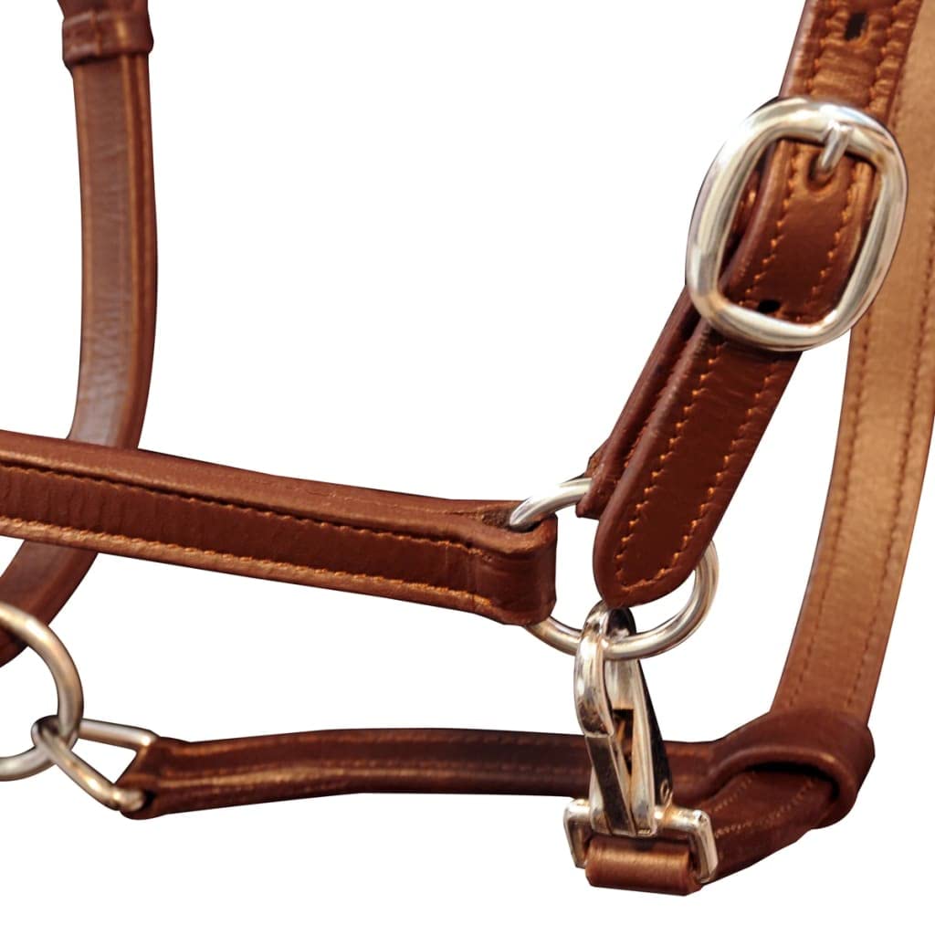 Cabestro estable de cuero real para recreación al aire libre Cabestro ajustable marrón Pony Artículos deportivos