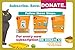 Catnip by Garry’s Pets - 3 Single Cups of Maximum Potency Premium Blend Cat Nip That Your Cats Will Go Crazy Over