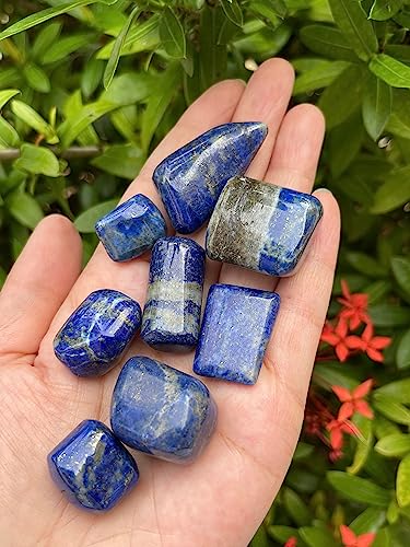 Image of GAF TREASURES 1 /2 LB Lapis Lazuli Tumbled Stones, Polished Lapis Lazuli Gemstone, Lapis Lazuli Healing Crystals (Lapis Lazuli)