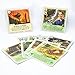 CATAN Rivals for CATAN Card Game DELUXE EDITION - Build, Trade, and Conquer with Enhanced Components! Family Game for Kids & Adults, Ages 10+, 2 Players, 45-60 Minute Playtime