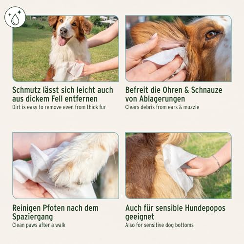 AniForte Pflegetücher für Hunde 100 Stück - XXL desodorierende Reinigungstücher mit Frischeverschluss, hypoallergen, mild, reißfest, natürliche Reinigung, Dog Wipes