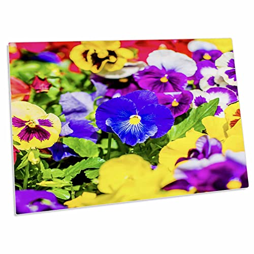 3dRose Alexis Photography - Desk Pad Flores Viola Tricolor