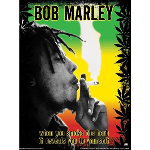 Bob Marley - Imprimé HERB (40 cm x 30 cm) (Multicolore)