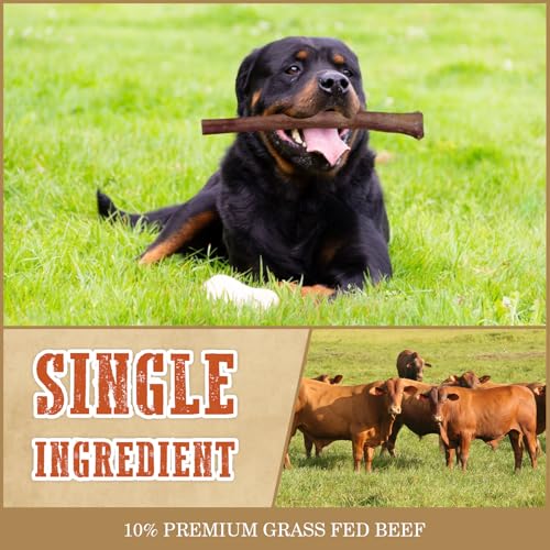 AZRAPAWS Thick Bully Sticks 12" for Medium and Large Dogs, 5 Count Natural Beef Dog Chews Long Lasting, Dog Treats Bones for Aggressive Chewers - Single Ingredient — view 6