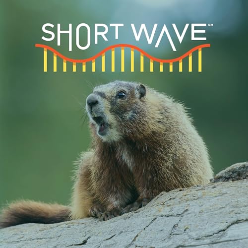 The Sound Of Fear: Why Do Animals Scream? Podcast Por  arte de portada