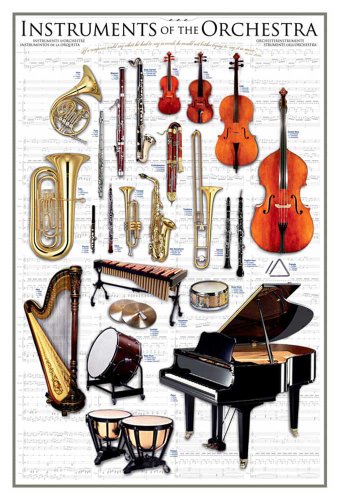 Empire Educational - Póster de Instrumentos de Orquesta (Texto en inglés)