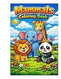 Kids colouring book