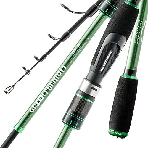 Ultimate Guide On The Best fishing pole for trout and bass In 2022
