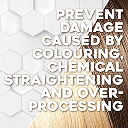 Ogx Restoring + Bonding Plex Salon Technology Conditioner, 13 Ounce #TOP2