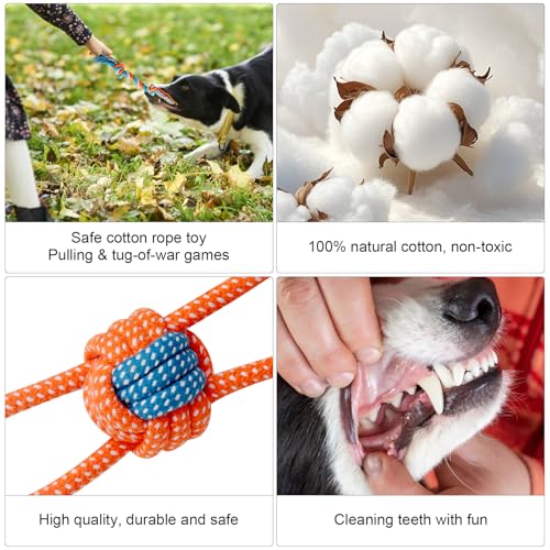 8 Stück Hundespielzeug Kleine Hunde, Welpenspielzeug, Langlebiges Kauspielzeug & Quietschspielzeug Intelligenz, Welpen Bissfestes Kuscheltier, Natürlicher Baumwolle & Ungiftig, Lindern Langeweile